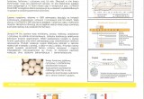 Zakwaszacz_Ultracid_p4_dry_nutriad_2