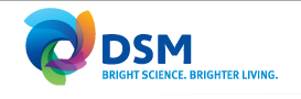 dsm logo